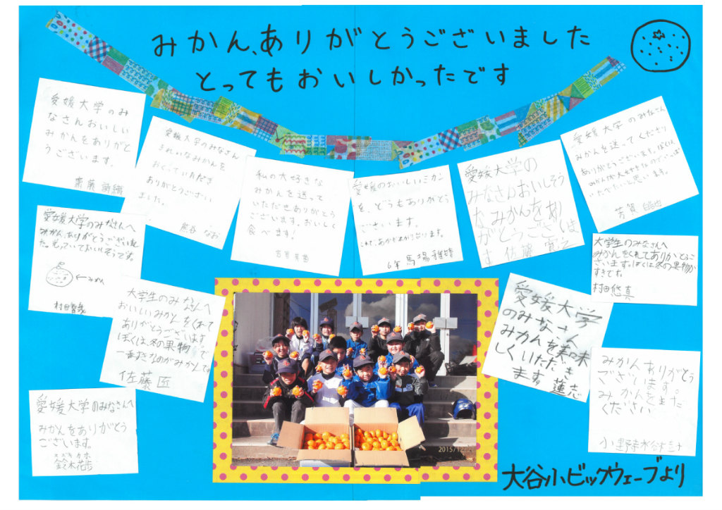 http://koyu.ehime-u.jp/koyu/info/images/mikan2016.jpg