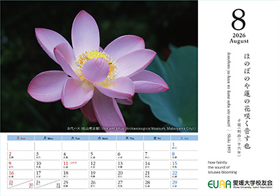 子規俳句カレンダー